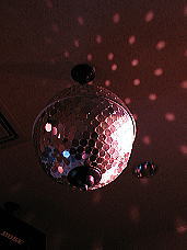 dm07.jpg