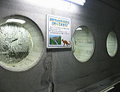 07.jpg