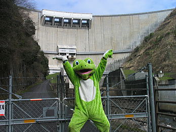 dam01.jpg