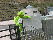 dam03.jpg