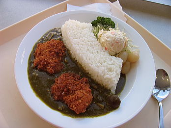 damcurry1.jpg