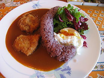 damcurry3.jpg