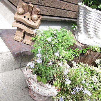 hako03.jpg