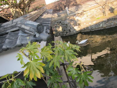 kura06.jpg