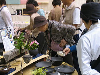 ocf21.jpg