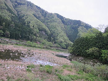 saku03.jpg