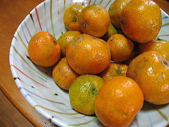 toropi04.jpg