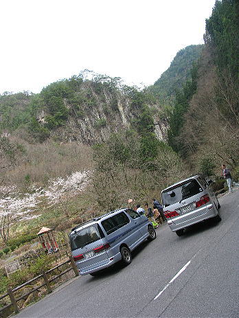 tutuga01.jpg