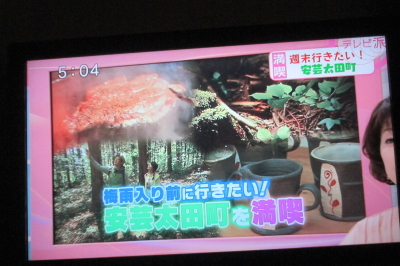 tv01.jpg