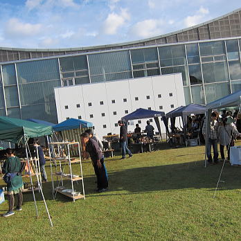 yac01.jpg