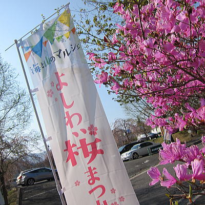 yosiwa10.jpg