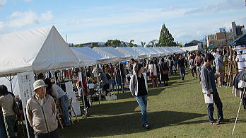 yac05.jpg