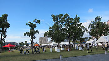 yac06.jpg